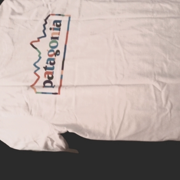 Men's Patagonia White Short Sleeve Tee - Picture 4 of 7